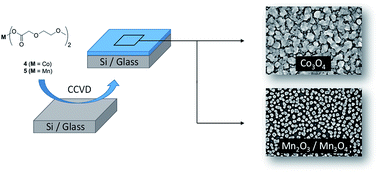 Graphical abstract: Cobalt and manganese carboxylates for metal oxide thin film deposition by applying the atmospheric pressure combustion chemical vapour deposition process