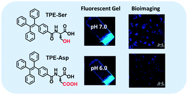 Graphical abstract: Fluorescent supramolecular hydrogels self-assembled from tetraphenylethene (TPE)/single amino acid conjugates