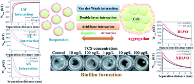 Graphical abstract: Effect of metabolic uncoupler, 3,3′,4′,5-tetrachlorosalicylanilide (TCS) on Bacillus subtilis: biofilm formation, flocculability and surface characteristics