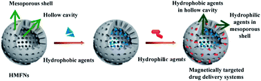 Graphical abstract: Magnetically targeted co-delivery of hydrophilic and hydrophobic drugs with hollow mesoporous ferrite nanoparticles