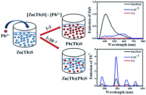 Graphical abstract: Role of reactant concentration and identity of added cation in controlling emission from post-synthetically modified terbium incorporated zinc sulfide nanoparticles: an avenue for the detection of lead(ii) cations