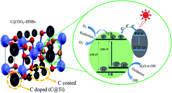 Graphical abstract: One-step topological preparation of carbon doped and coated TiO2 hollow nanocubes for synergistically enhanced visible photodegradation activity