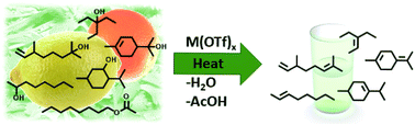 Graphical abstract: Transition metal triflate catalyzed conversion of alcohols, ethers and esters to olefins