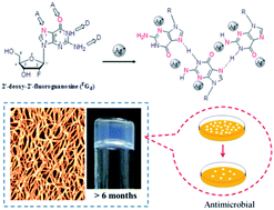 Graphical abstract: Silver ions blocking crystallization of guanosine-based hydrogel for potential antimicrobial applications