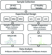 Graphical abstract: Comparison of the methods for profiling N-glycans—hepatocellular carcinoma serum glycomics study