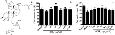 Graphical abstract: Notoginsenoside R1 prevents H9c2 cardiomyocytes apoptosis against hypoxia/reoxygenation via the ERs/PI3K/Akt pathway