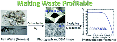 Graphical abstract: Heteroatom tri-doped porous carbon derived from waste biomass as Pt-free counter electrode in dye-sensitized solar cells