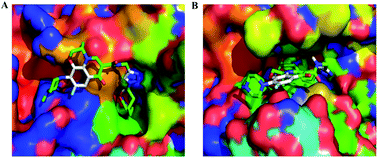 Graphical abstract: Synthesis and biological evaluation of novel quinolone derivatives dual targeting histone deacetylase and tubulin polymerization as antiproliferative agents