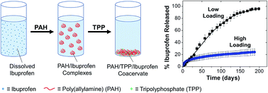 Graphical abstract: Poly(allylamine)/tripolyphosphate coacervates enable high loading and multiple-month release of weakly amphiphilic anionic drugs: an in vitro study with ibuprofen