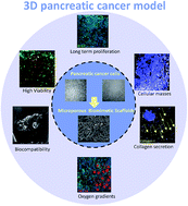 Graphical abstract: A 3D bioinspired highly porous polymeric scaffolding system for in vitro simulation of pancreatic ductal adenocarcinoma