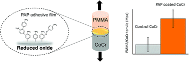 Graphical abstract: Surface modification of CoCr alloys by electrochemical reduction of diazonium salts