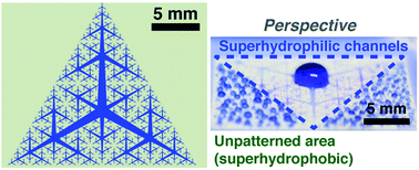 Graphical abstract: Space-filling open microfluidic channels designed to collect water droplets