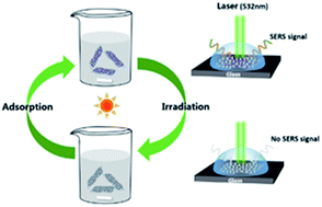 Graphical abstract: Multifunctional Ag-decorated g-C3N4 nanosheets as recyclable SERS substrates for CV and RhB detection