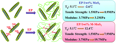 Graphical abstract: Mechanical properties of epoxy nanocomposites filled with melamine functionalized molybdenum disulfide