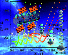 Graphical abstract: Proton conductivity resulting from different triazole-based ligands in two new bifunctional decavanadates
