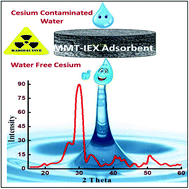 Graphical abstract: Decontamination of radioactive cesium ions using ordered mesoporous monetite