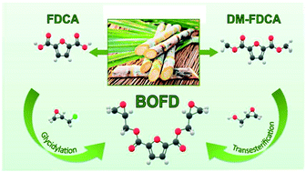 Graphical abstract: Green approaches in the synthesis of furan-based diepoxy monomers