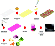 Graphical abstract: Developing a novel paper-based enzymatic biosensor assisted by digital image processing and first-order multivariate calibration for rapid determination of nitrate in food samples