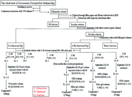 Graphical abstract: Bioassay-guided isolation and identification of anticancer and antioxidant compounds from Gynostemma pentaphyllum (Thunb.) Makino