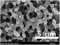 Graphical abstract: Template-free synthesis of monolithic carbon xerogels with hierarchical porosity from resorcinol and formaldehyde via hydrothermal reaction