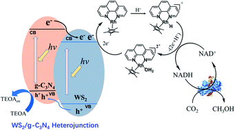 Graphical abstract: WS2/g-C3N4 composite as an efficient heterojunction photocatalyst for biocatalyzed artificial photosynthesis