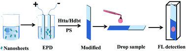 Graphical abstract: Sensitive detection of free bilirubin in blood serum using β-diketone modified europium-doped yttrium oxide nanosheets as a luminescent sensor
