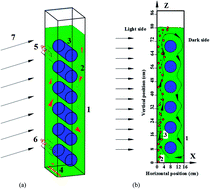 Graphical abstract: Improving microalgal growth by strengthening the flashing light effect simulated with computational fluid dynamics in a panel bioreactor with horizontal baffles