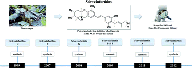 Graphical abstract: Schweinfurthins A–Q: isolation, synthesis, and biochemical properties
