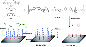 Graphical abstract: Synthesis of polyurethanes with pendant azide groups attached on the soft segments and the surface modification with mPEG by click chemistry for antifouling applications