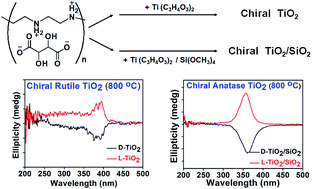 Graphical abstract: Convenient chirality transfer from organics to titania: construction and optical properties
