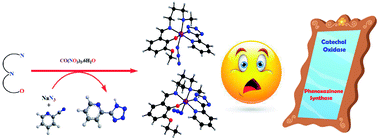 Graphical abstract: One pot synthesis of two cobalt(iii) Schiff base complexes with chelating pyridyltetrazolate and exploration of their bio-relevant catalytic activities