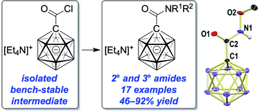 Graphical abstract: Efficient access to amides of the carborane carboxylic acid [1-(COOH)–CB11H11]−