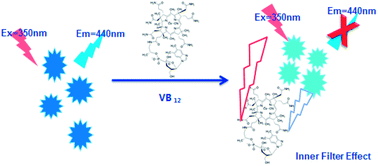 Graphical abstract: Carbon dots as fluorescent probes for detection of VB12 based on the inner filter effect