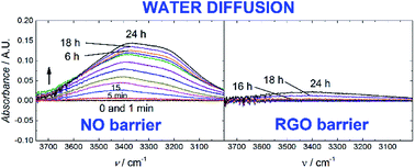 Graphical abstract: Reduced graphene oxide as a water, carbon dioxide and oxygen barrier in plasticized poly(vinyl chloride) films