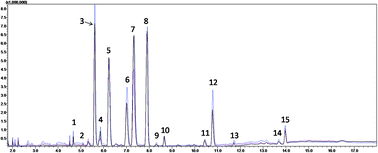 Graphical abstract: Identification of potential diagnostic biomarkers of cerebral infarction using gas chromatography-mass spectrometry and chemometrics