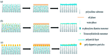 Graphical abstract: Dopamine incorporating forward osmosis membranes with enhanced selectivity and antifouling properties