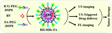 Graphical abstract: Indocyanine green conjugated lipid microbubbles as an ultrasound-responsive drug delivery system for dual-imaging guided tumor-targeted therapy