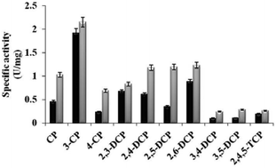 Graphical abstract: Engineering substrate promiscuity in 2,4-dichlorophenol hydroxylase by in silico design