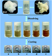 Graphical abstract: A novel method to prepare tussah/Bombyx mori silk fibroin-based films