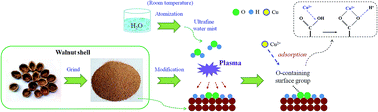 Graphical abstract: Raw walnut shell modified by non-thermal plasma in ultrafine water mist for adsorptive removal of Cu(ii) from aqueous solution