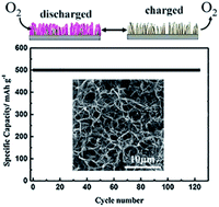 Graphical abstract: 3D web freestanding RuO2–Co3O4 nanowires on Ni foam as highly efficient cathode catalysts for Li–O2 batteries