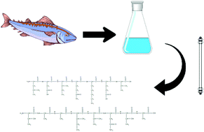 Graphical abstract: Purification and identification of antioxidative peptides from mackerel (Pneumatophorus japonicus) protein