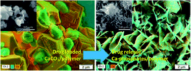 Graphical abstract: Complex calcium carbonate/polymer microparticles as carriers for aminoglycoside antibiotics