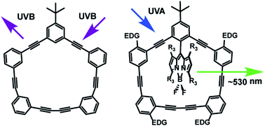 Graphical abstract: Photophysical behaviour of BODIPY-phenylacetylene macrocyclic dyads for light-harvesting applications