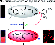 Graphical abstract: A novel near-infrared fluorescent probe for highly selective recognition of hydrogen sulfide and imaging in living cells
