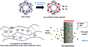 Graphical abstract: Ag-exchanged NaY zeolite introduced polyvinyl alcohol/polyacrylic acid mixed matrix membrane for pervaporation separation of water/isopropanol mixture