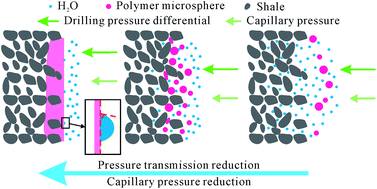 Graphical abstract: A polymer microsphere emulsion as a high-performance shale stabilizer for water-based drilling fluids