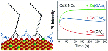 Graphical abstract: Enhanced photoluminescence stability of CdS nanocrystals through a zinc acetate reagent