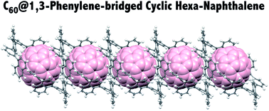 Graphical abstract: 1,3-Phenylene-bridged naphthalene wheels synthesized by one-pot Suzuki–Miyaura coupling and the complex of the hexamer with C60