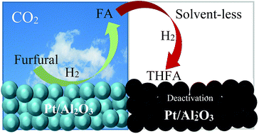 Graphical abstract: Defining Pt-compressed CO2 synergy for selectivity control of furfural hydrogenation